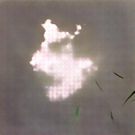 Learning Nature (b40,2968,5)