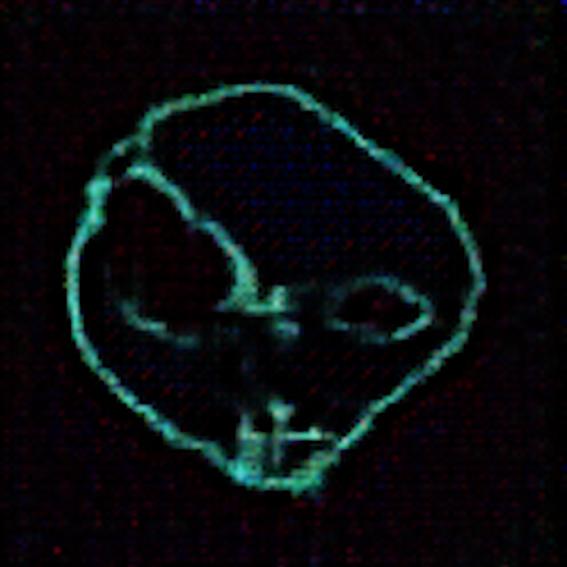 Representation of the Entity (v.1)