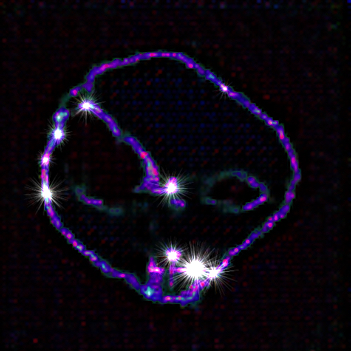 Representation of the Entity (v.3)